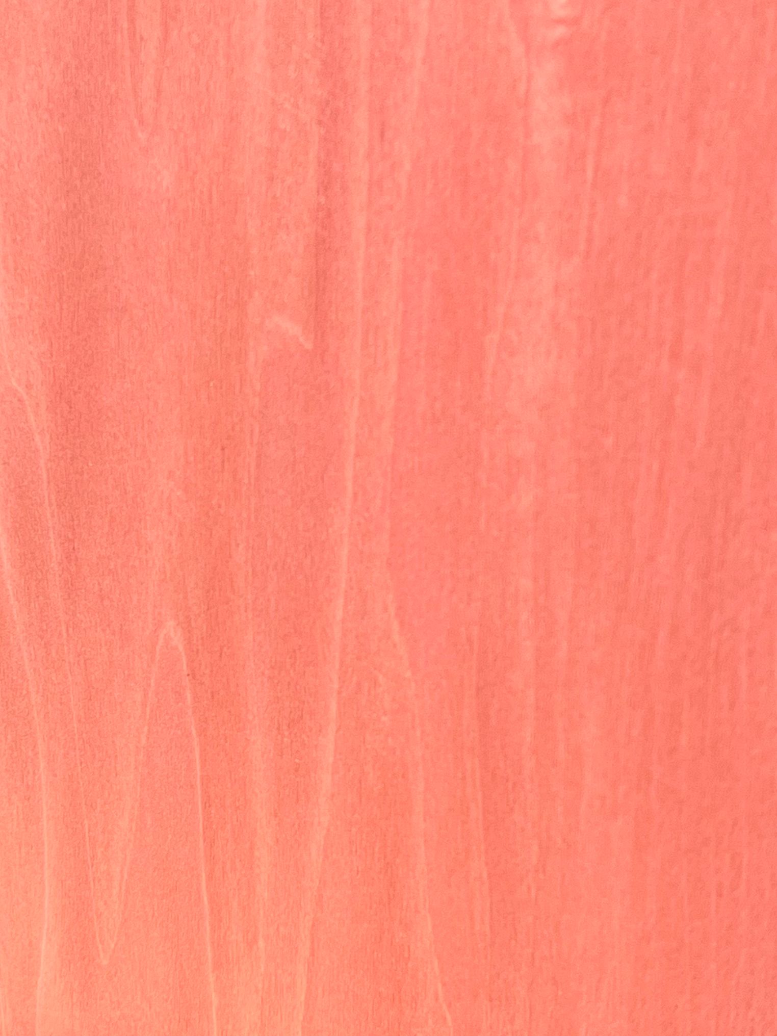 Tulipier teint rose clair