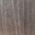 Tulipier gris