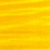 Erable ondé jaune
